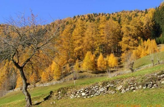 heiserhof-ratschings-jaufental-suedtirol (17)