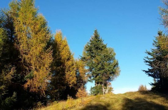 heiserhof-ratschings-jaufental-suedtirol (30)