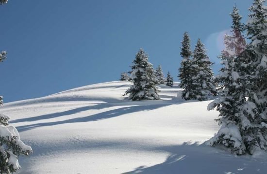 heiserhof-racines-val-giovo-alto-adige-33-1