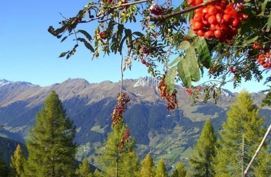 vacanza-sul-maso-racines-alto-adige (6)